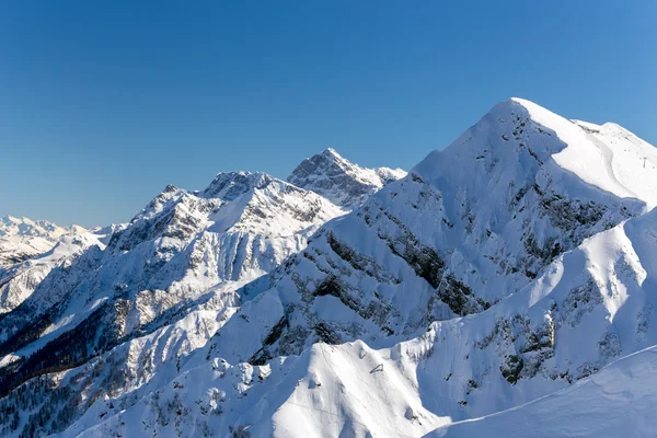Skigebied Rosa Khutor. Bergen van Krasnaja Poljana. Sochi, Rusland Stockfoto