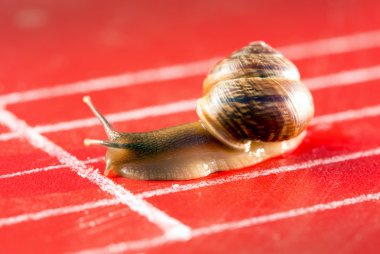 Snail on the athletic track clipart