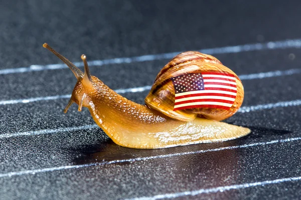 Snail under flag of USA on sports track — Stock Photo, Image