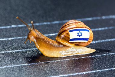 Snail under flag of Israel on sports track clipart