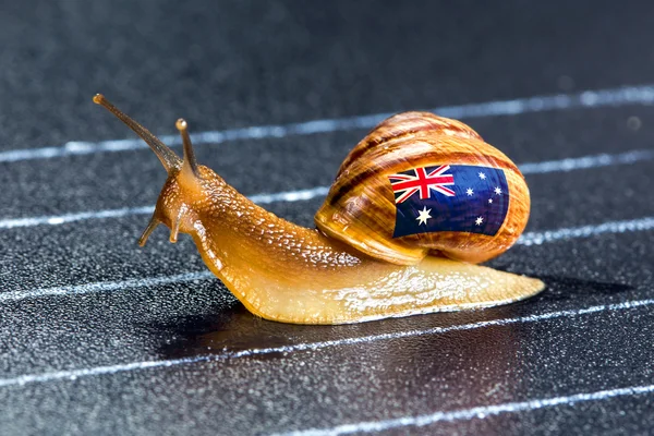 Snail under Australian flag on sports track — Stock Photo, Image