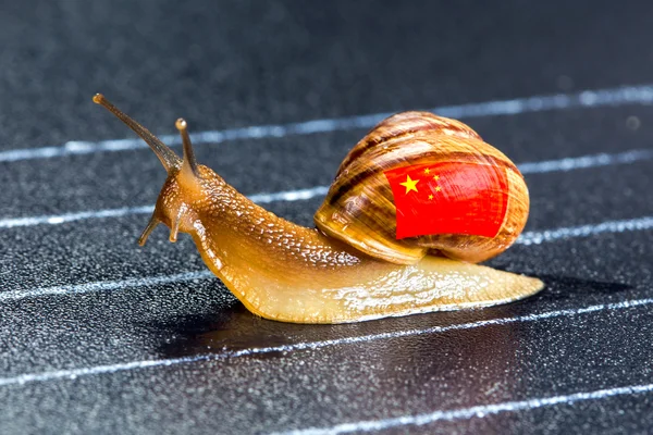 Snail under Chinese flag on sports track — Stock Photo, Image