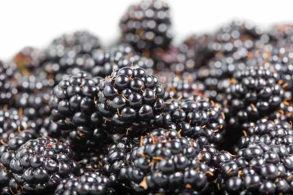 Ripe blackberries close-up — Stock Photo, Image