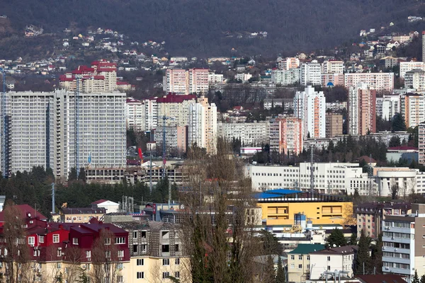 도시 소 치입니다. 러시아 — 스톡 사진