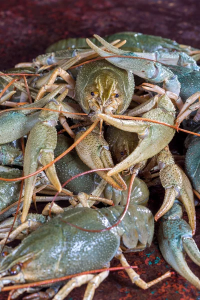 Heap live crayfish — Stock Photo, Image