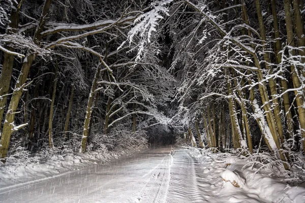 Nachtstraße im Winterwald — Stockfoto