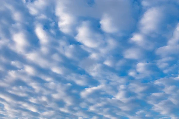 Cirrus wolken in blauwe lucht — Stockfoto