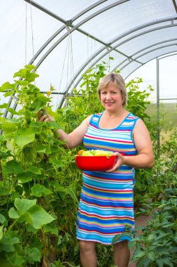 donna con verdure in serrasera sebze olan kadın