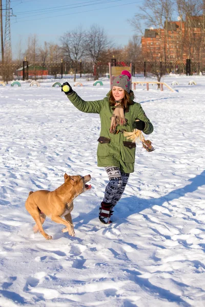 Young woman playing with American Pit Bull Terrier in winter — Stock Photo, Image