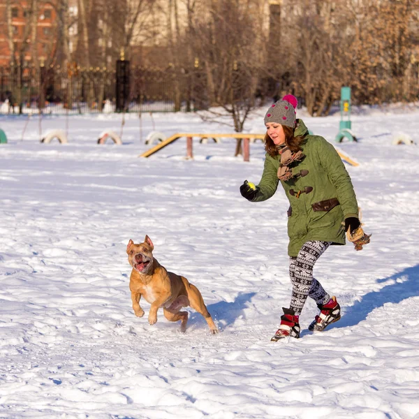 Young woman playing with American Pit Bull Terrier in winter