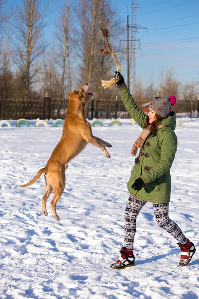 Giovane donna che gioca con American Pit Bull Terrier in inverno — Foto Stock