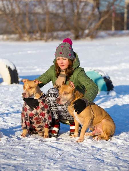 Młoda kobieta z dwóch zimowych American Pit Bull Terrier — Zdjęcie stockowe