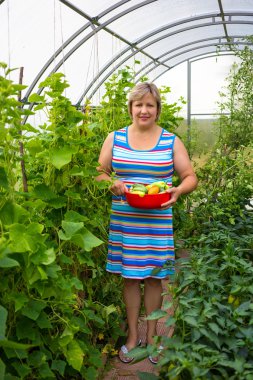 donna con verdure in serrasera sebze olan kadın