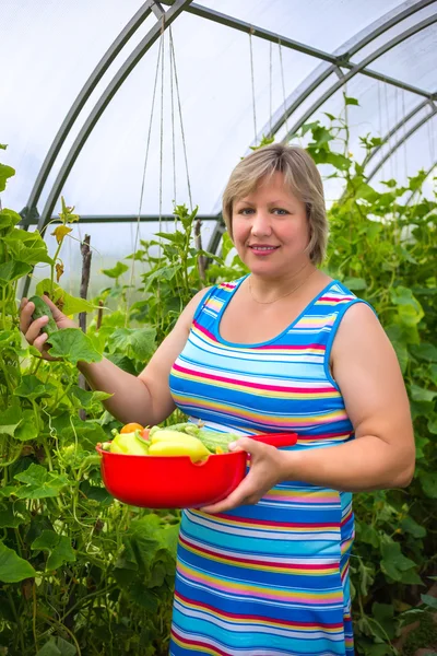 donna con verdure in serrasera sebze olan kadın