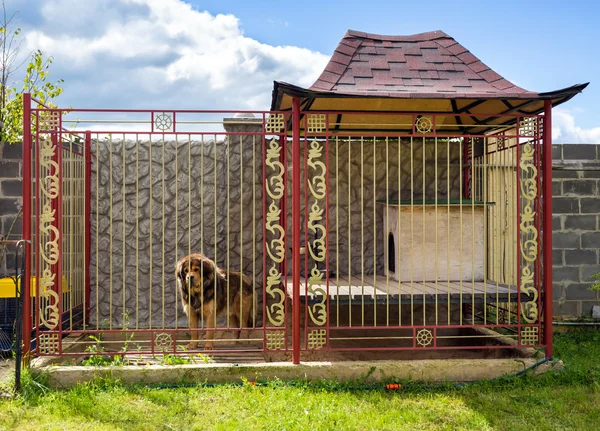 Huis voor de hond — Stockfoto