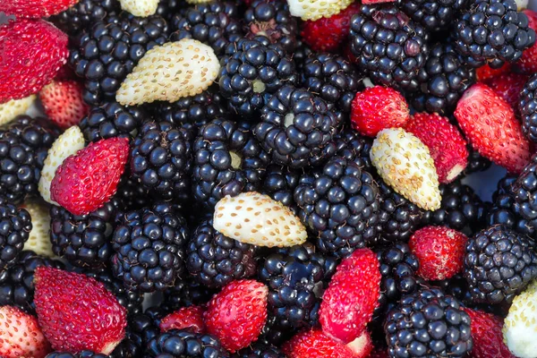 Blackberries and strawberry close-up — Stock Photo, Image