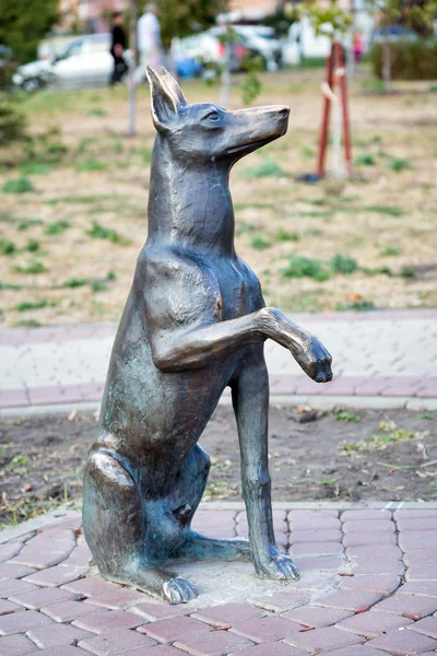 Monument to the dog Jim. Belgorod. Russia — Stock Fotó