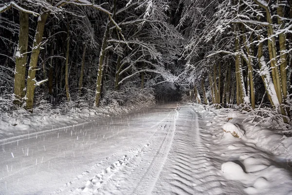 Night road in winter forest — Stock Photo, Image