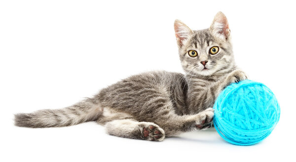 Cat with ball of yarn