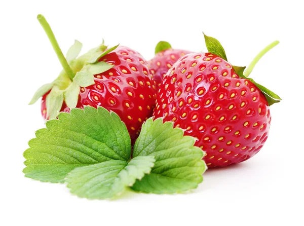 Erdbeere mit Blättern. — Stockfoto