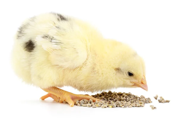 Baby kip een maaltijd — Stockfoto