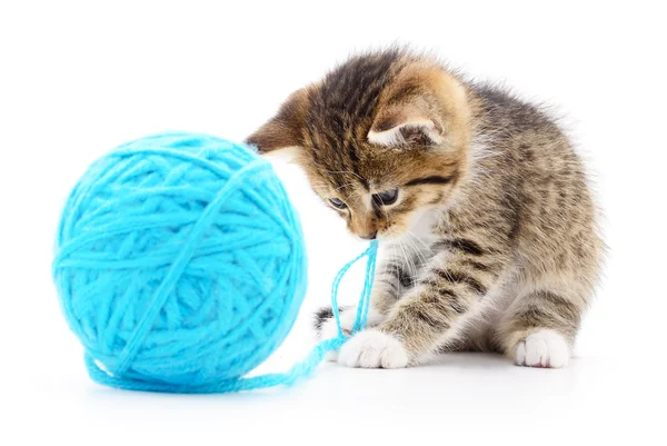 Cat with ball of yarn — Stock Photo, Image