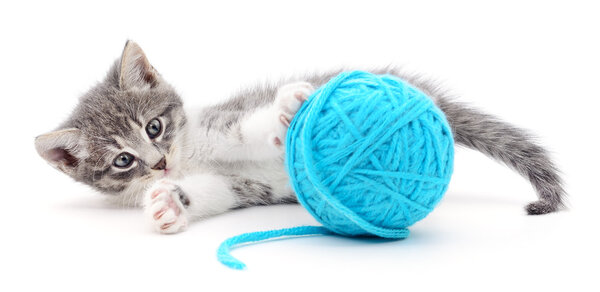 Cat with ball of yarn