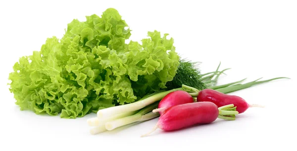 Set of different vegetables. — Stock Photo, Image