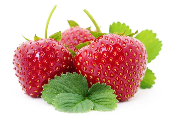 Three red strawberries. — Stock Photo, Image