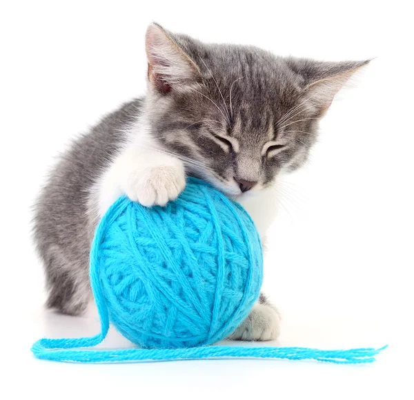 Cat with ball of yarn — Stock Photo, Image