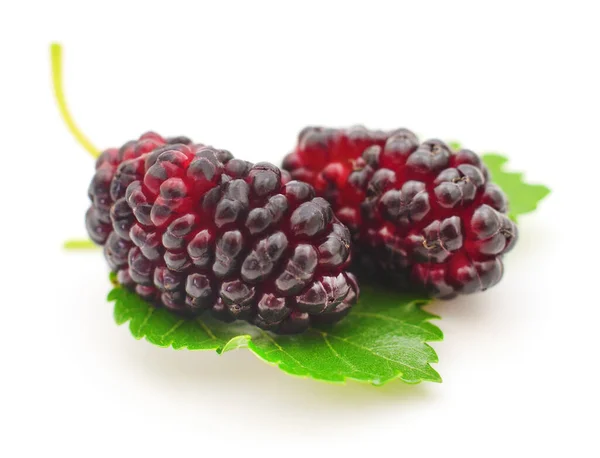 Mulberries Frutas Folhas Fundo Branco — Fotografia de Stock