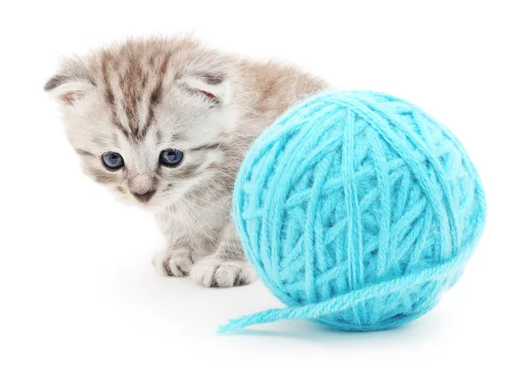 Cat with ball of yarn — Stock Photo, Image