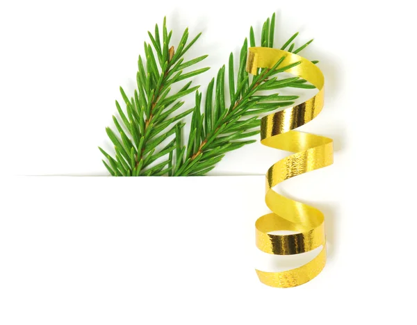 Green fir branch with ribbon — Stock Photo, Image