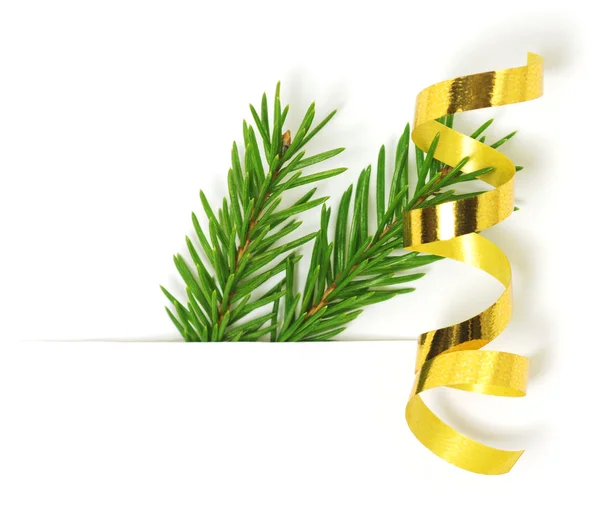Green fir branch with ribbon — Stock Photo, Image