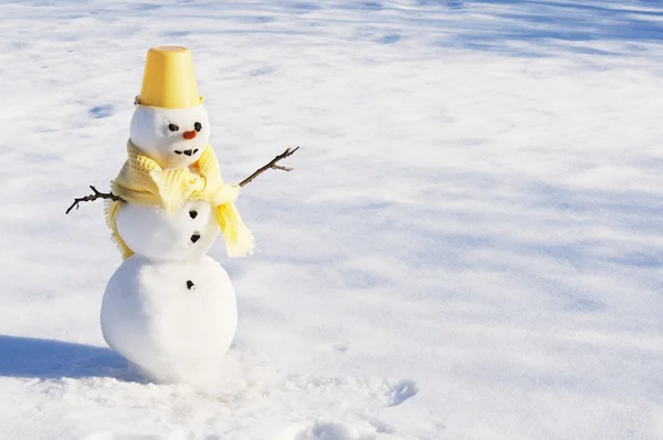 にんじんの鼻と雪だるま — ストック写真