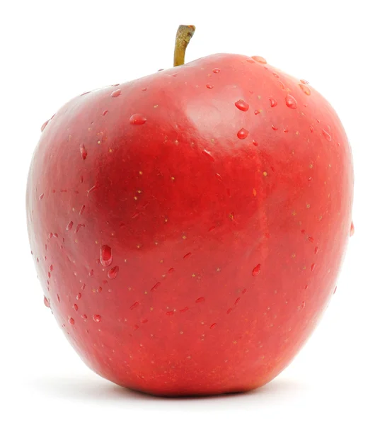 Manzana roja — Foto de Stock