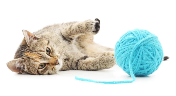 Cat with ball of yarn — Stock Photo, Image