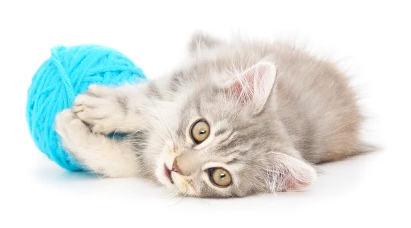Кот с клубком пряжи — стоковое фото