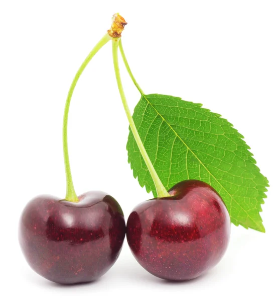 Sweet cherry — Stockfoto