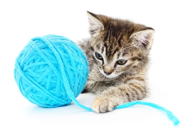 Cat with ball of yarn — Stock Photo, Image