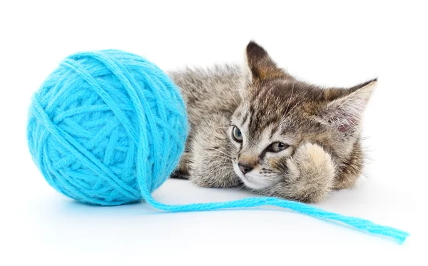 Cat with ball of yarn — Stock Photo, Image