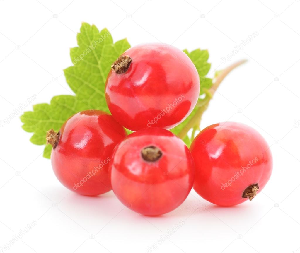 Four red currants