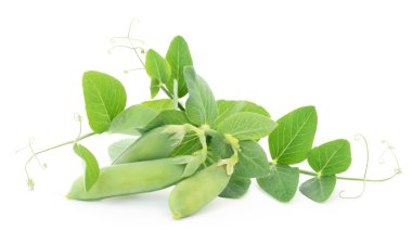 bezelye yaprakları ile.