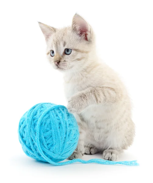 Cat with ball of yarn — Stock Photo, Image