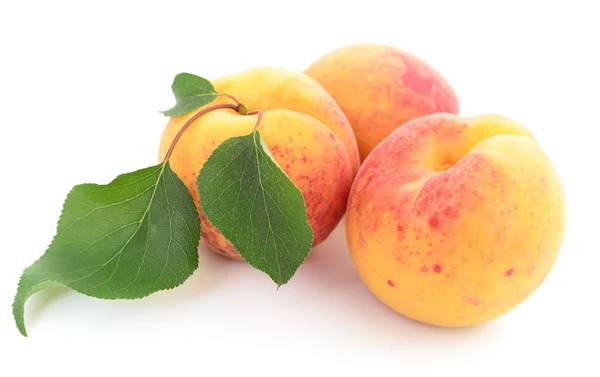 Apricots with leaves. — Stock Photo, Image