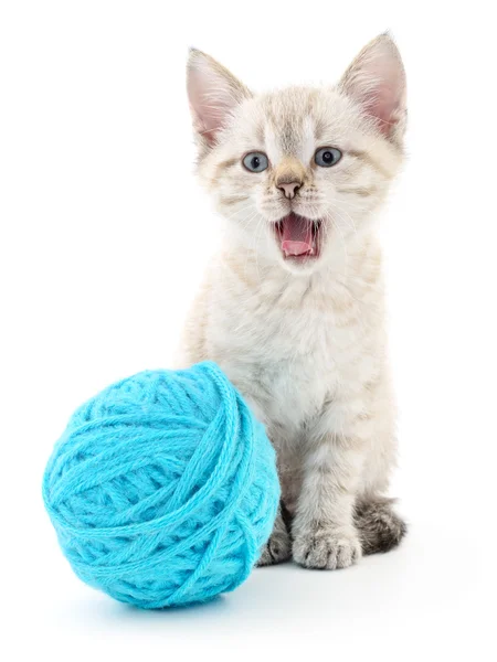 Cat with ball of yarn — Stock Photo, Image