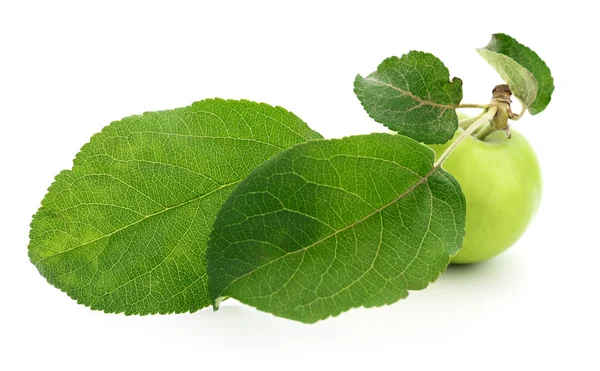 Groene appel met bladeren. — Stockfoto