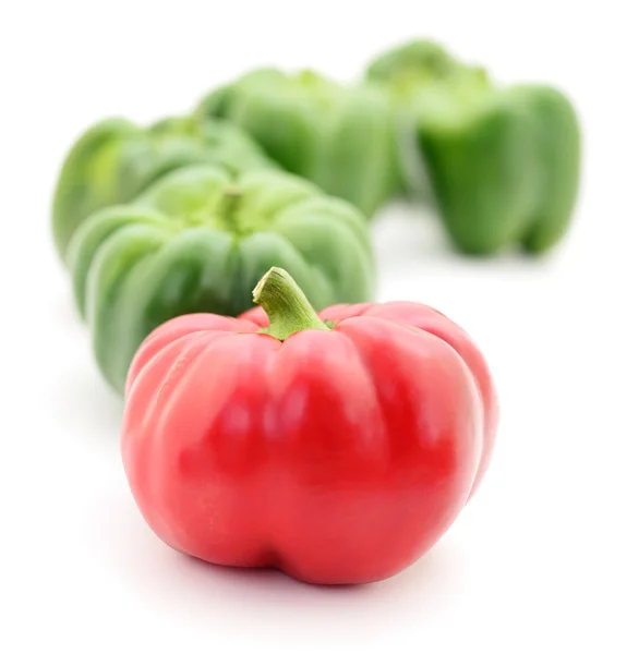 Červená a zelená paprika. — Stock fotografie