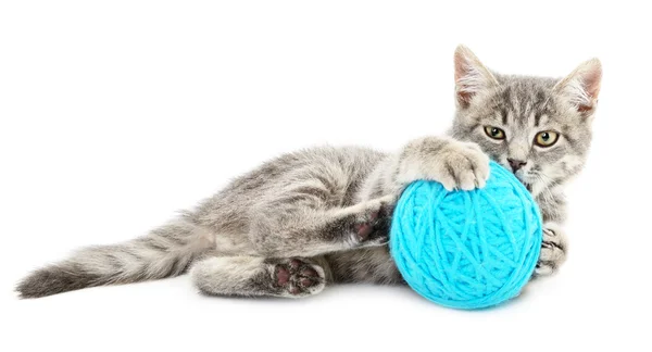 Cat with ball of yarn — Stock Photo, Image