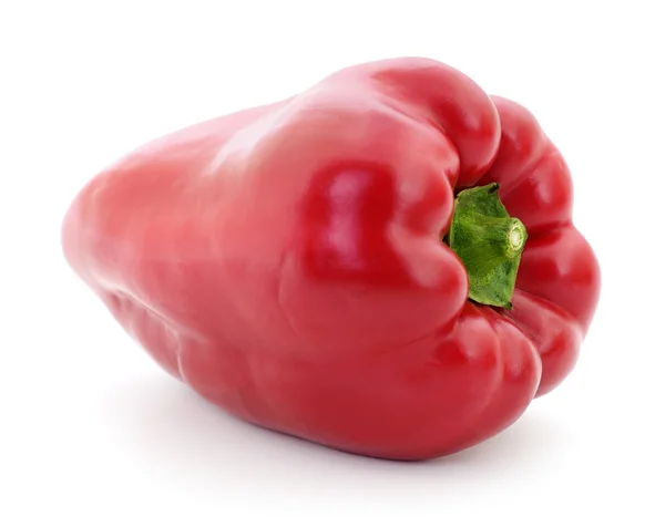 Röd paprika. — Stockfoto